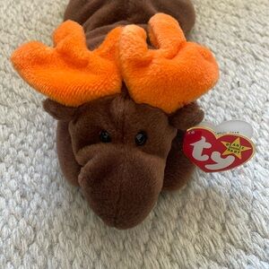 NWT RARE TY CHOCOLATE MOOSE